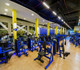 Imagem 3 da galeria do parceiro Academia Bluefit - Ceilândia