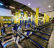 Imagem 4 da galeria do parceiro Academia Bluefit - Ceilândia