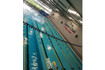 Imagen 3 de la galería del partner The Swim Club & Fitness Center