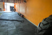 Imagem 5 da galeria do parceiro Bravus Fit