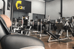 Imagem 9 da galeria do parceiro Academia Gfit