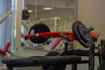 Bild 9 von PHIT IN Partnergalerie