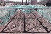 Bild 5 von CROSSTRAILS Bochum Partnergalerie