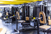 Imagem 10 da galeria do parceiro Moinhos Fitness - Pontal