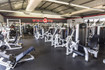 Imagem 5 da galeria do parceiro World Gym Fitness Center - Florianópolis