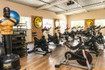 Imagem 8 da galeria do parceiro Lion Fitness - Liberdade