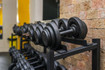 Imagem 11 da galeria do parceiro Lion Fitness - Liberdade