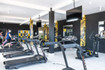 Imagem 6 da galeria do parceiro Lion Fitness - Capelinha de São Caetano