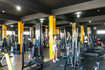Imagem 9 da galeria do parceiro Lion Fitness - Capelinha de São Caetano