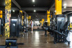 Imagem 11 da galeria do parceiro Lion Fitness - Capelinha de São Caetano