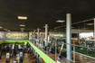 Imagem 5 da galeria do parceiro Hammer Fitness Club - Patamares
