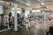 Imagem 10 da galeria do parceiro CPN - Mazzei