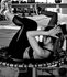 Image 3 from Motiv Fitness | The Woodlands partner gallery