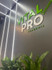 Imagem 2 da galeria do parceiro Academia Vital Pro