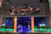 Imagem 3 da galeria do parceiro Academia Spawn