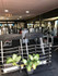 Imagem 3 da galeria do parceiro Sport Fit