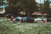Bild 1 von Gettoworkout Augsburg - Park Am Roten Tor Partnergalerie