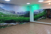 Imagem 6 da galeria do parceiro Pachamama SPA