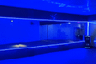 Imagem 2 da galeria do parceiro WM Fitness