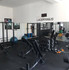 Immagine 2 dalla galleria del partner MF Elite Fitness Club