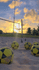 Imagem 4 da galeria do parceiro Cesinha Futêvolei