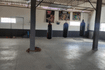 Imagem 1 da galeria do parceiro Terrier Fight Team