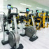 Immagine 1 dalla galleria del partner Palestra Performance Bologna
