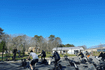 Image 2 from Comeback Cycle - East Hampton partner gallery