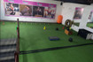 Imagem 5 da galeria do parceiro Prática Fitness