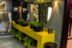 Imagem 1 da galeria do parceiro Extreme Crossbox
