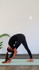 Imagem 7 da galeria do parceiro Yoga com Simone