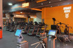 Imagen 3 de la galería del partner Seven Days Gold Paseo Express