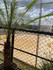 Imagem 3 da galeria do parceiro Contorno da Bola