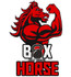 Imagem 2 da galeria do parceiro Box Horse