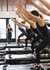Image 3 from MPower Pilates + Cycle partner gallery