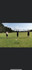 Image 1 from MummyFit Bootcamp partner gallery