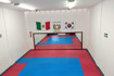 Imagen 3 de la galería del partner Instituto De Taekwondo Olimpico Doyang Grasfer