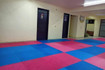 Imagen 5 de la galería del partner Instituto de Formación Marcial Taekwondo Grasfer