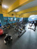 Imagem 7 da galeria do parceiro Pró Físico Natação e Fitness