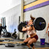 Image 5 from CrossFit Sacrifice partner gallery