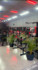Imagem 1 da galeria do parceiro Delta Academia