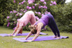 Bild 1 von Non Solo Yoga Partnergalerie