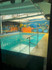 Imagem 5 da galeria do parceiro Happy Fitness Academia