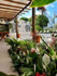 Imagem 2 da galeria do parceiro BioNathus Yoga