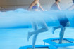 Bild 2 von Bäderland Schwimmbad Süderelbe Partnergalerie