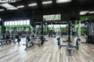 Immagine 5 dalla galleria del partner First Fit Lendinara