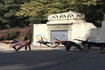 Imagen 1 de la galería del partner CHARLYOGA Condesa