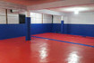 Imagem 4 da galeria do parceiro Gracie Barra Telêmaco Borba - Unidade 2
