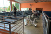 Imagem 10 da galeria do parceiro Studio Bem Te Vi