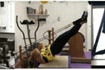 Imagem 6 da galeria do parceiro Spazio Pilates